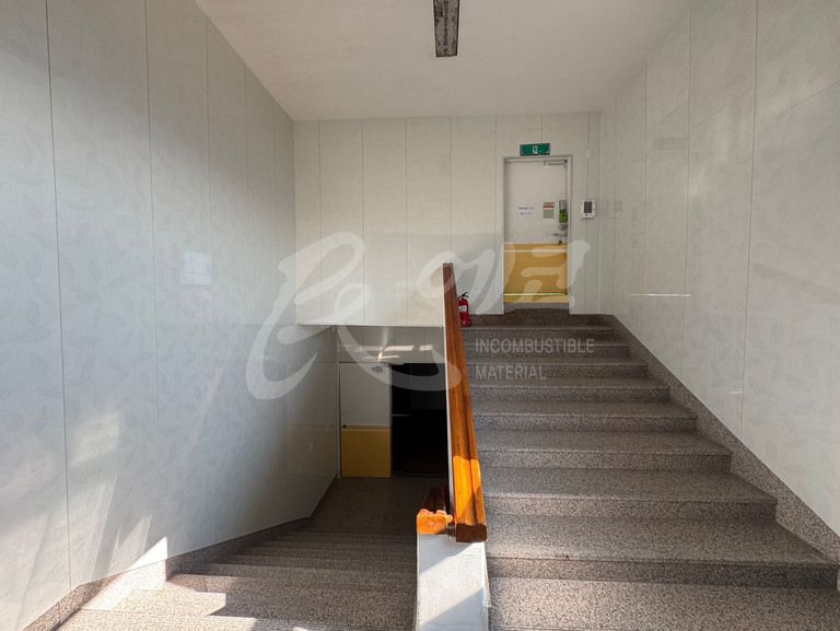 대원외국어고등학교